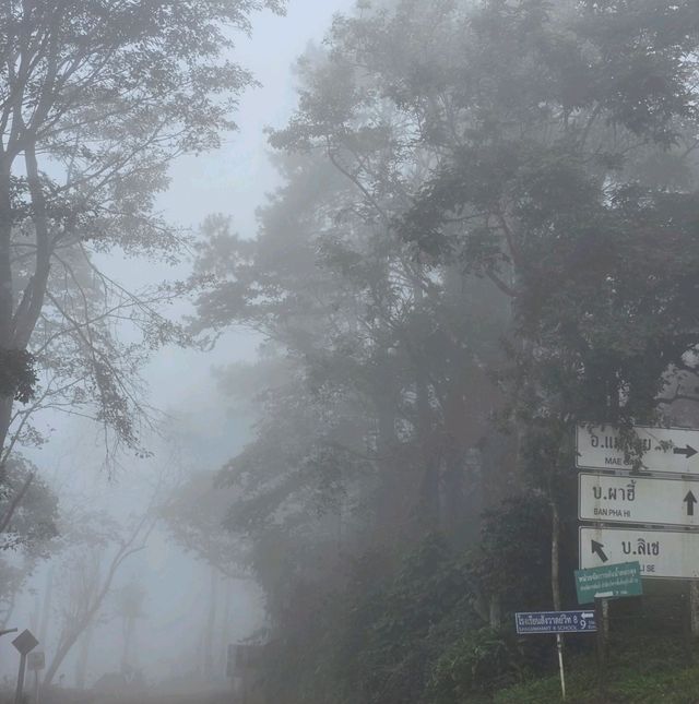 พระธาตุดอยช้างมูบ เชียงราย 🐘🏔