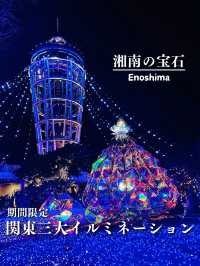 【江ノ島】関東三大イルミネーションが凄すぎた‼️