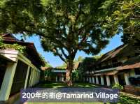 200年的樹@Tamarind Village