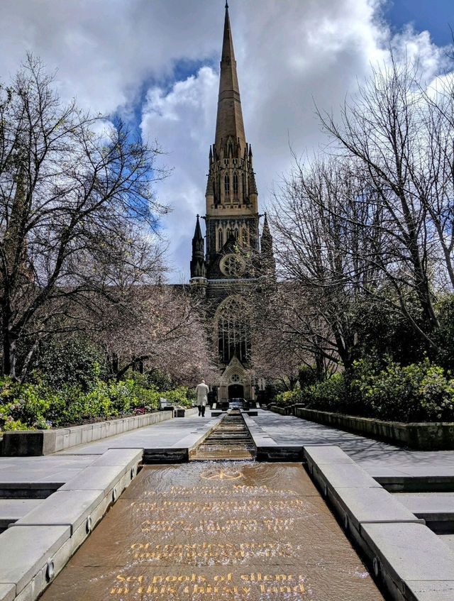 南半球最高的教堂：聖巴特利爵主教座堂 Saint Patrick's Cathedral
