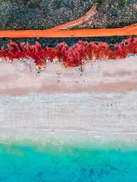 Incredible colours in Broome 🔴🔵