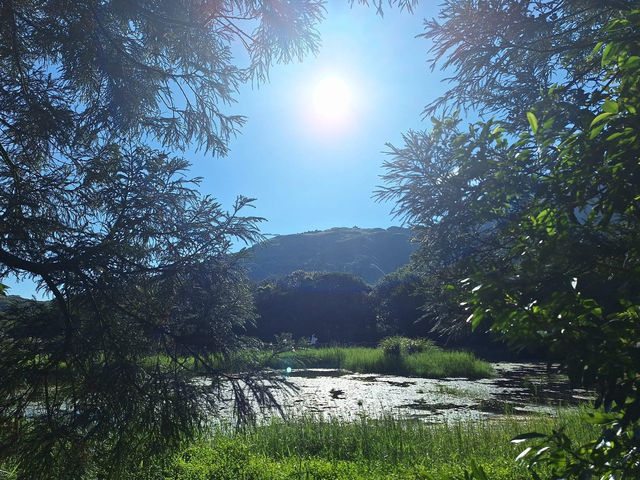 草山行館