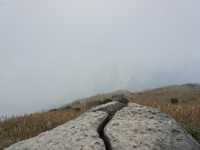 Into the Mist: The Enchanting Hike Up Sunset Peak