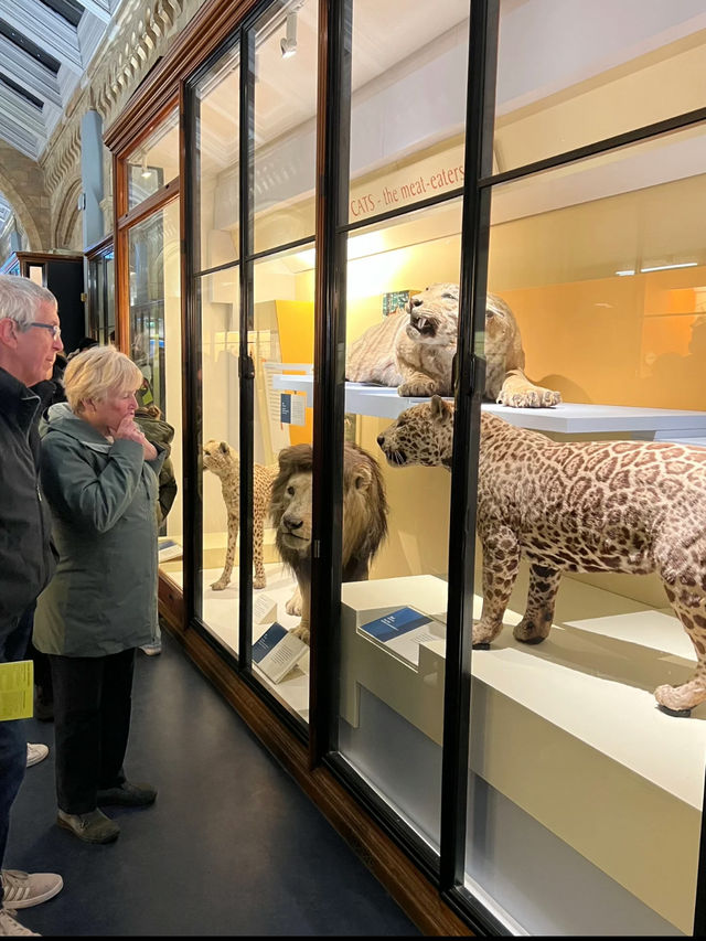 🦖 A Journey Through Time at the Natural History Museum, London 🌍