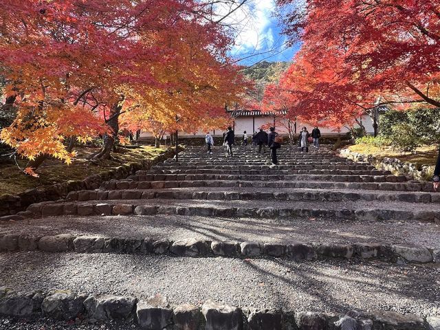 A Symphony of Colors —  The Nison-in Temple of Arashiyama