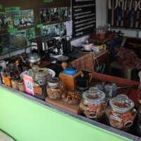 civet coffee