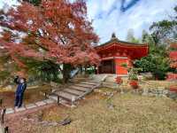 京都東福寺賞楓之旅：紅葉滿山，禪意悠然