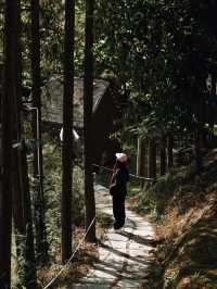 香港出發2天1夜｜英德西茶園豪華露營🏕️