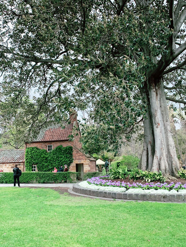 Fitzroy Gardens: Melbourne’s Green Oasis