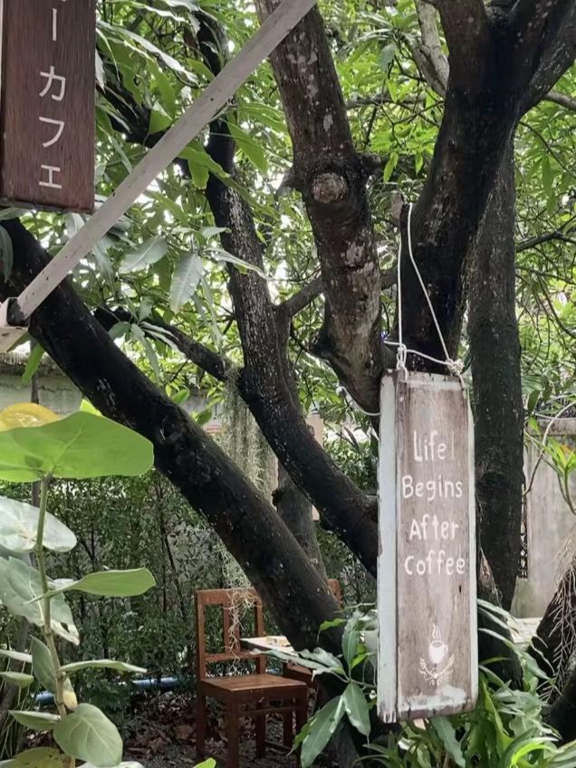 โฮมคาเฟ่ ใจกลางเมืองฉะเชิงเทรา สุดร่มรื่น