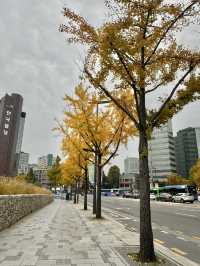 Bukchon hanok village half day itinerary 