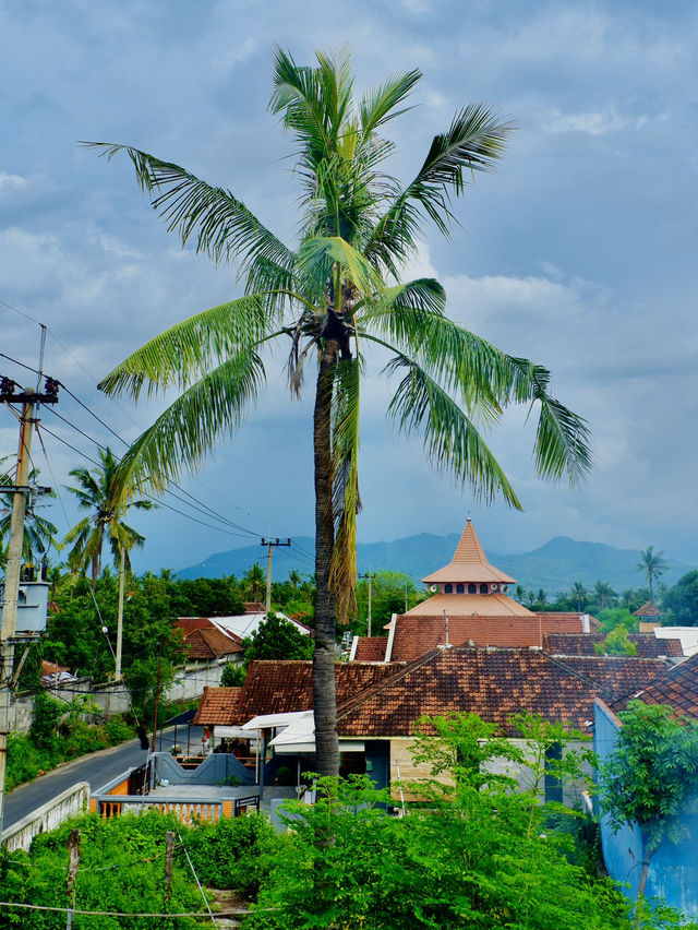 Best Place For Transit In Banyuwangi 🏝️✨