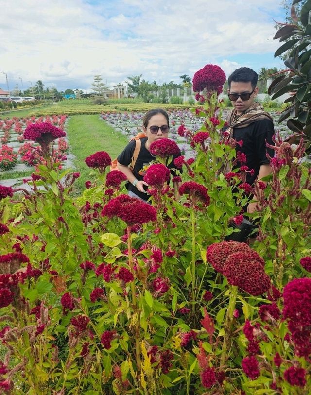Go to garden in a day 🌻🌼🌺🌾🌷🏵🌸