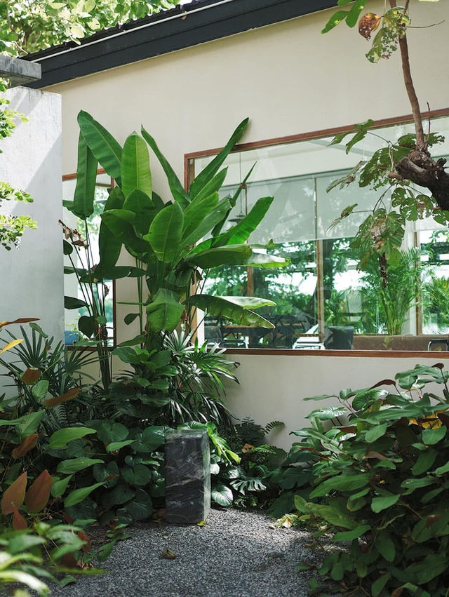 ☕✨ Ray River Cafe - คาเฟ่ริมแม่น้ำสุดชิล บรรยากาศดี