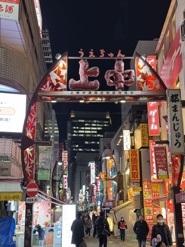 東京5日4夜行程