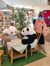 PANDAS AT EVERY CORNER , ONLY IN CHENGDU !
