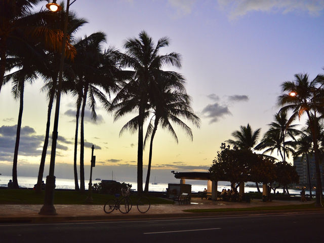 Oceanfront Dining at Lulu’s Waikiki 🌴🍽️