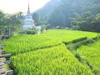 วัดนาคูหา