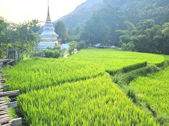 วัดนาคูหา