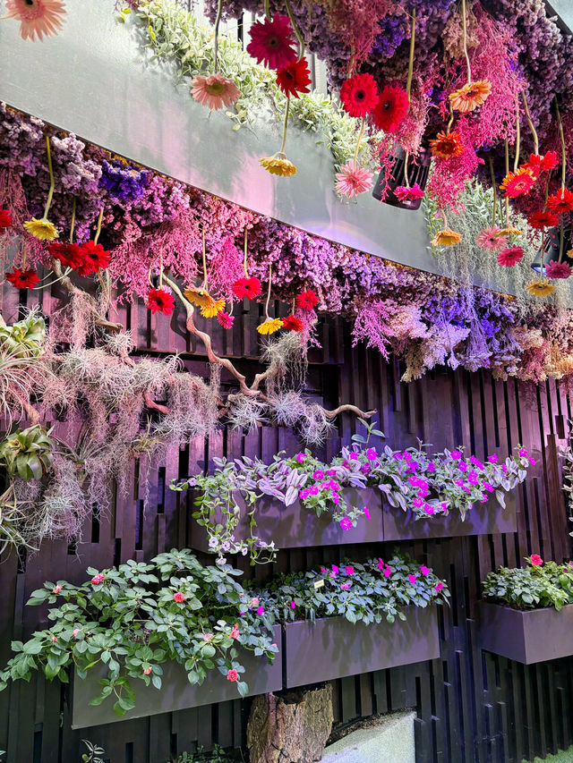 Disney Garden of Wonder - Floral Fantasy