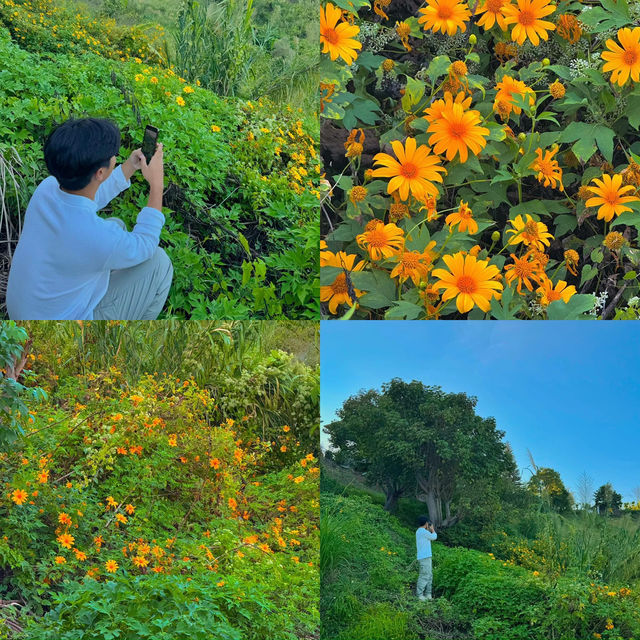 ที่พักเขาค้อ Vibes ดีมากกก 🤍🌄🌸