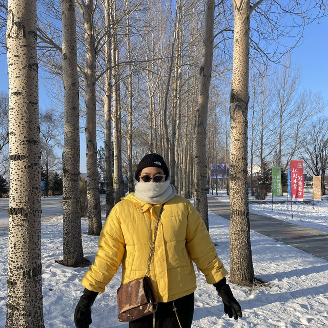 My 7 day in Harbin, China 🥶☃️❄️
