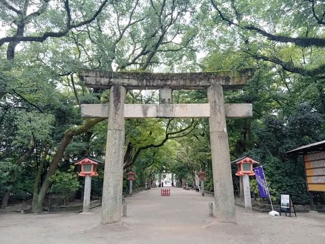 มัดรวม 3สถานที่ศักดิ์สิทธิ์ในHakata✨️
