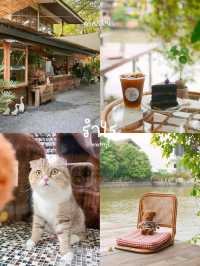 10 คาเฟ่ริมน้ำ บรรยากาศดี ฮีลใจ 🫶🏻🌅