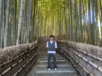 A Hidden Gem of Kyoto: Exploring Adashino Nenbutsuji Temple