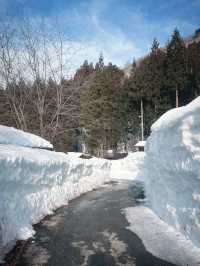 인생에서 꼭 한번 가봐야 할 겨울 여행지❄️