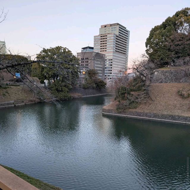 Chidorigafuchi (千鳥ヶ淵)