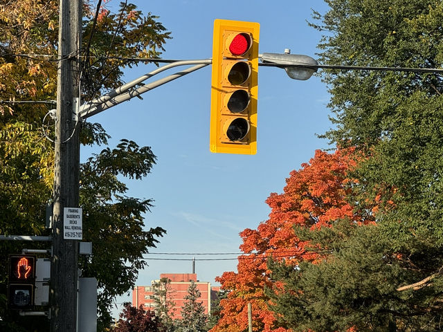 🍁캐나다에서 살아남기🍁