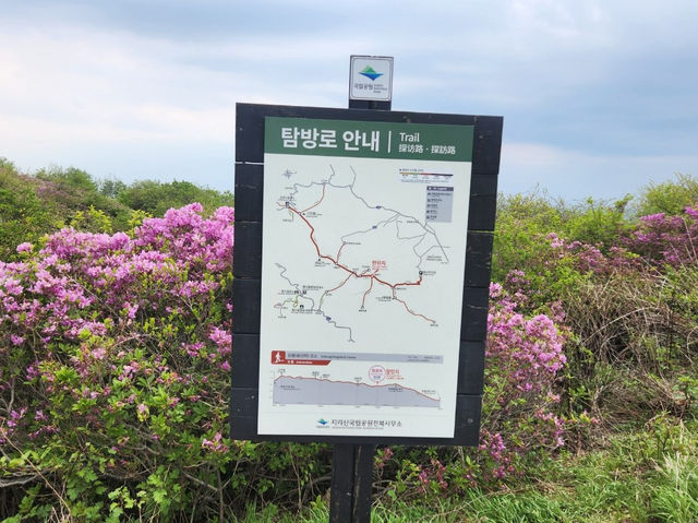 아름다운 자연 지리산