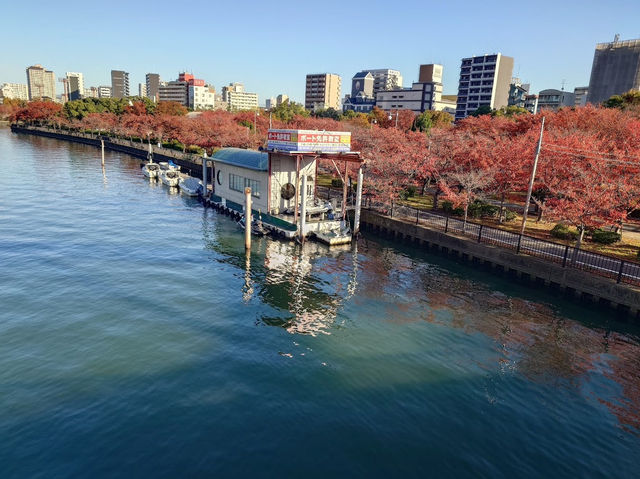 Kema Sakuranomiya Park