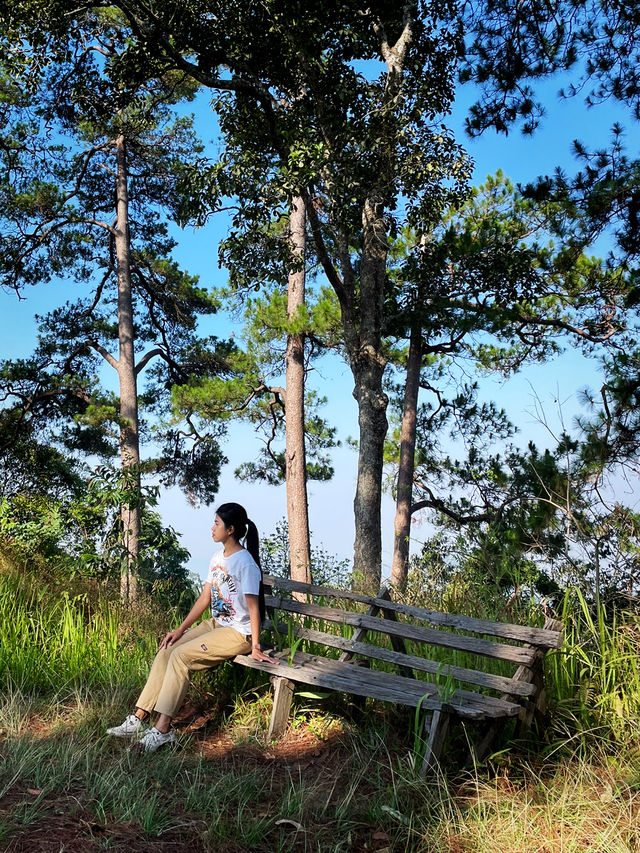 จุดยุทธศาสตร์ที่ 3 อุทยานแห่งชาติดอยขุนตาล 🍃