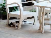 Armchair cafe : คาเฟ่เก้าอี้เหลือง ลำปาง