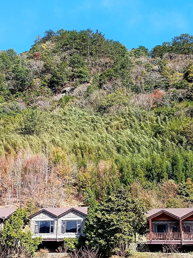 司馬庫斯，一個風景美到讓人充滿力量的地方！