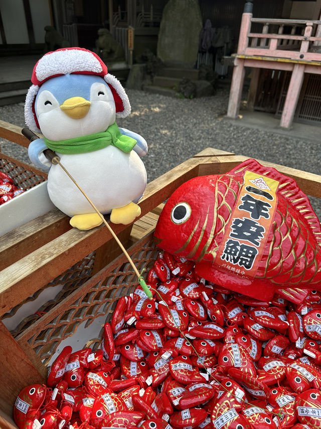 掘蕃薯釣鯛魚護身符的川越冰川神社⛩️🥰