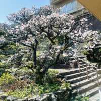 Kotohira 3 Days Travel Guide 