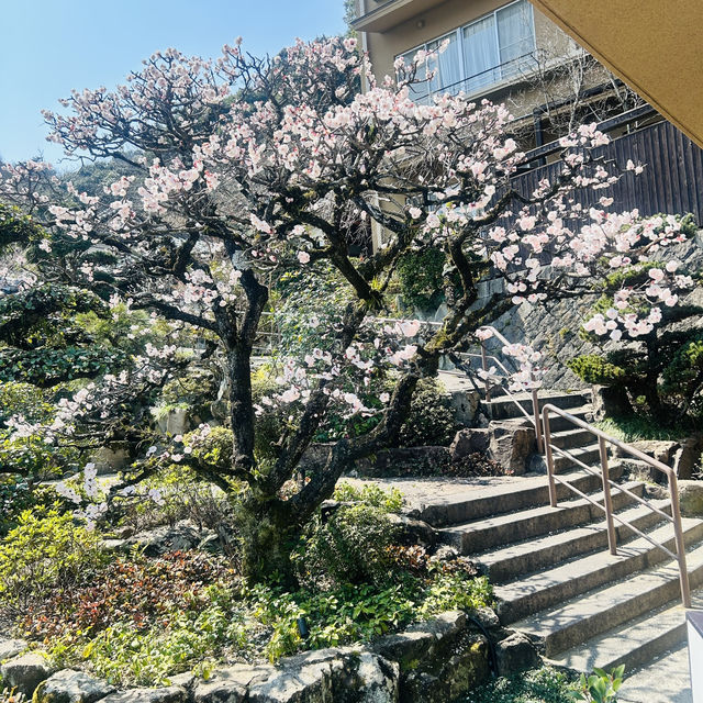 Kotohira 3 Days Travel Guide 