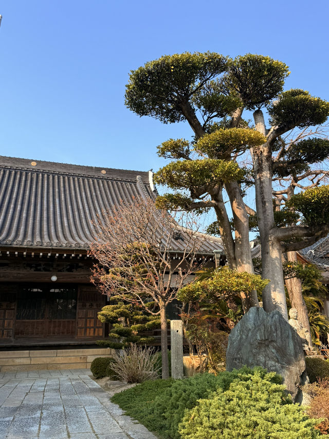 山口｜旅僧觀音傳說 防府定念寺參拜宮市觀音