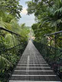 Sunway Lagoon: Thrills, Spills & A Whole Lot of Bills!