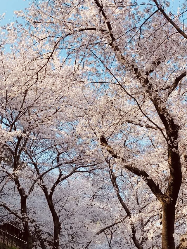 A Spiritual Spring Retreat 🧘‍♂️🌸