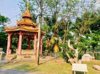 泰國曼谷市中心素坤逸區城市綠洲公園一日遊行程，親子遊行程，素坤逸繁華大道，適合打卡拍照📸親子遊