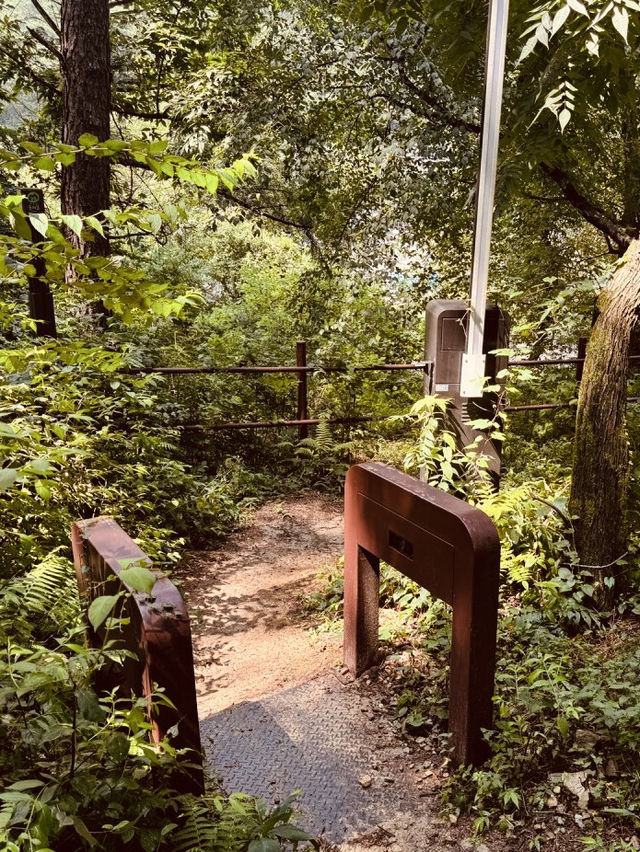 Bingyesan: A Spring Picnic with Scenic Views 