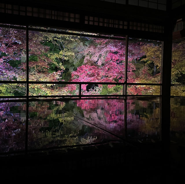 【京都】瑠璃光院で紅葉🍁
