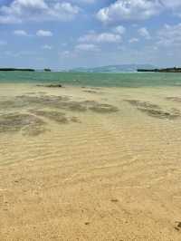 Must-Visit! Spring in Okinawa🌺