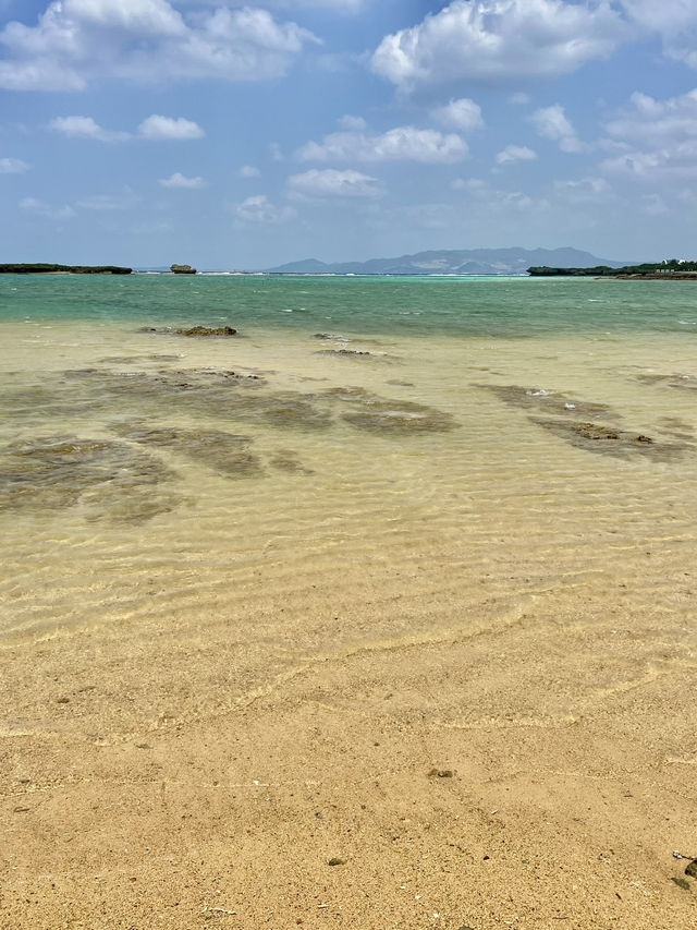 Must-Visit! Spring in Okinawa🌺