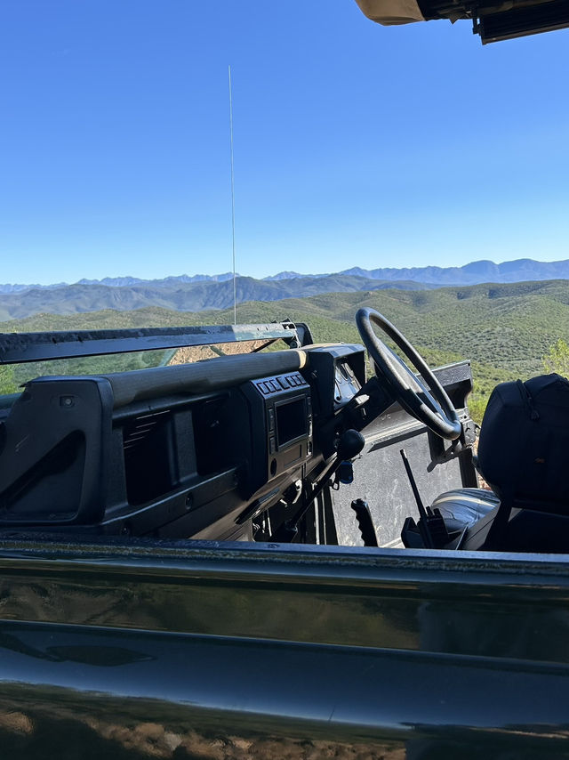 Safari picnic with nature view 