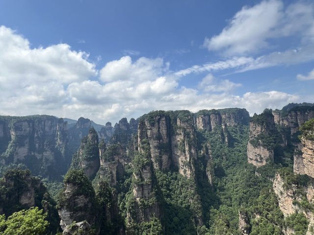 Zhangjiajie National Park: A Journey Through Nature's Masterpiece